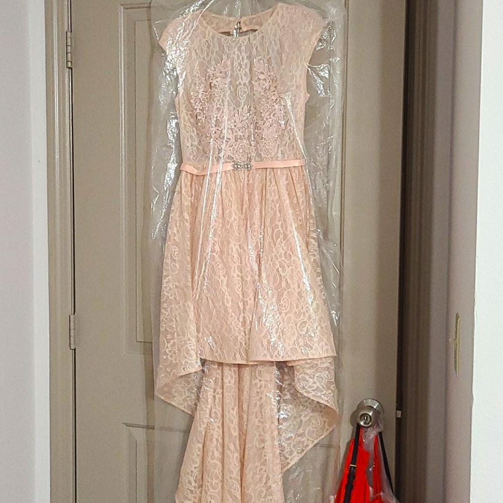 Pale Pink Prom Dress